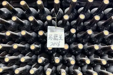 ningxia wines