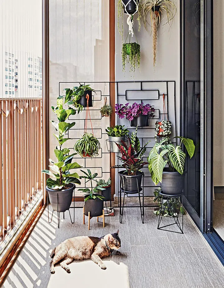 Interior Design Trends