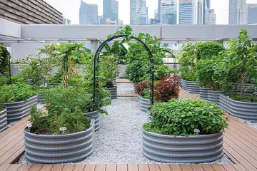 The social enterprise also designed and built ParkRoyal Collection Marina Bay’s urban farm.