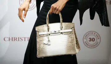 hermes birkin bag expensive