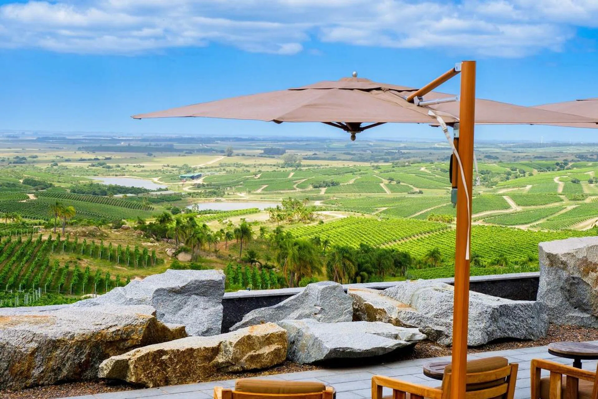 South America Wine Tourism