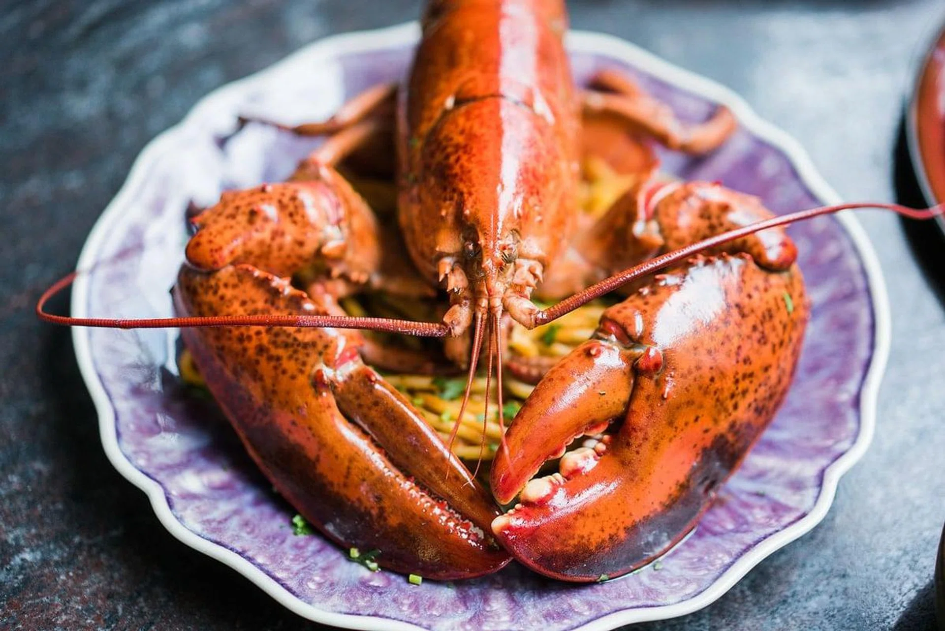 Spaghettoni with Boston Lobster and Tarragon