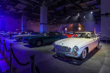 chile salmon industry 2017