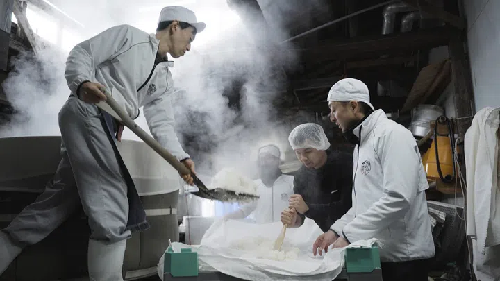 Brewing Against The Grain sake in Niigata. (Photo: Normat)