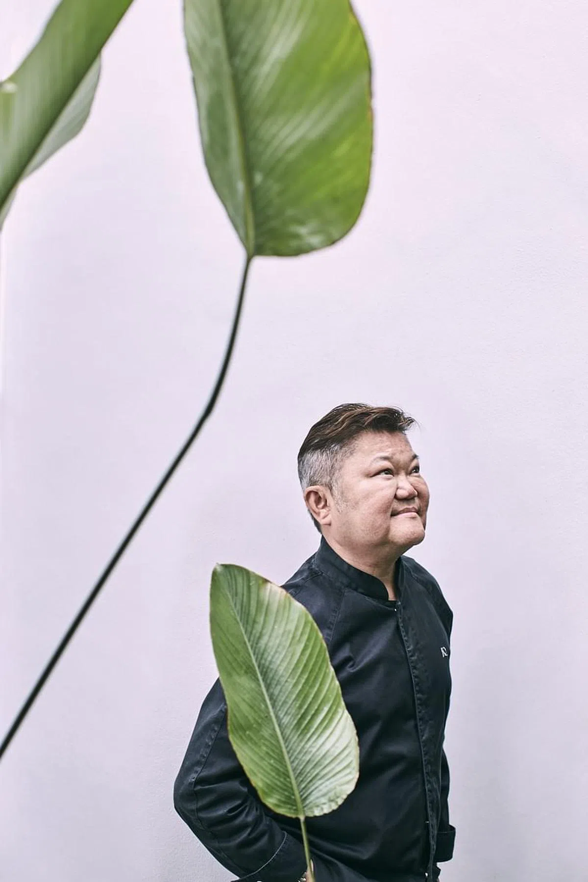 Michelin Guide feature