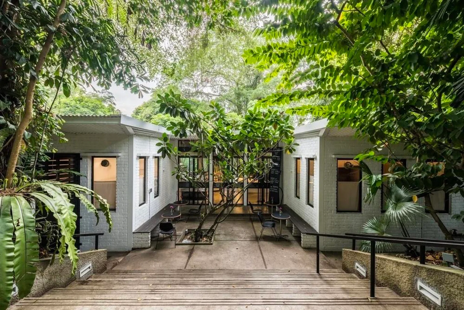 pet-friendly cafe