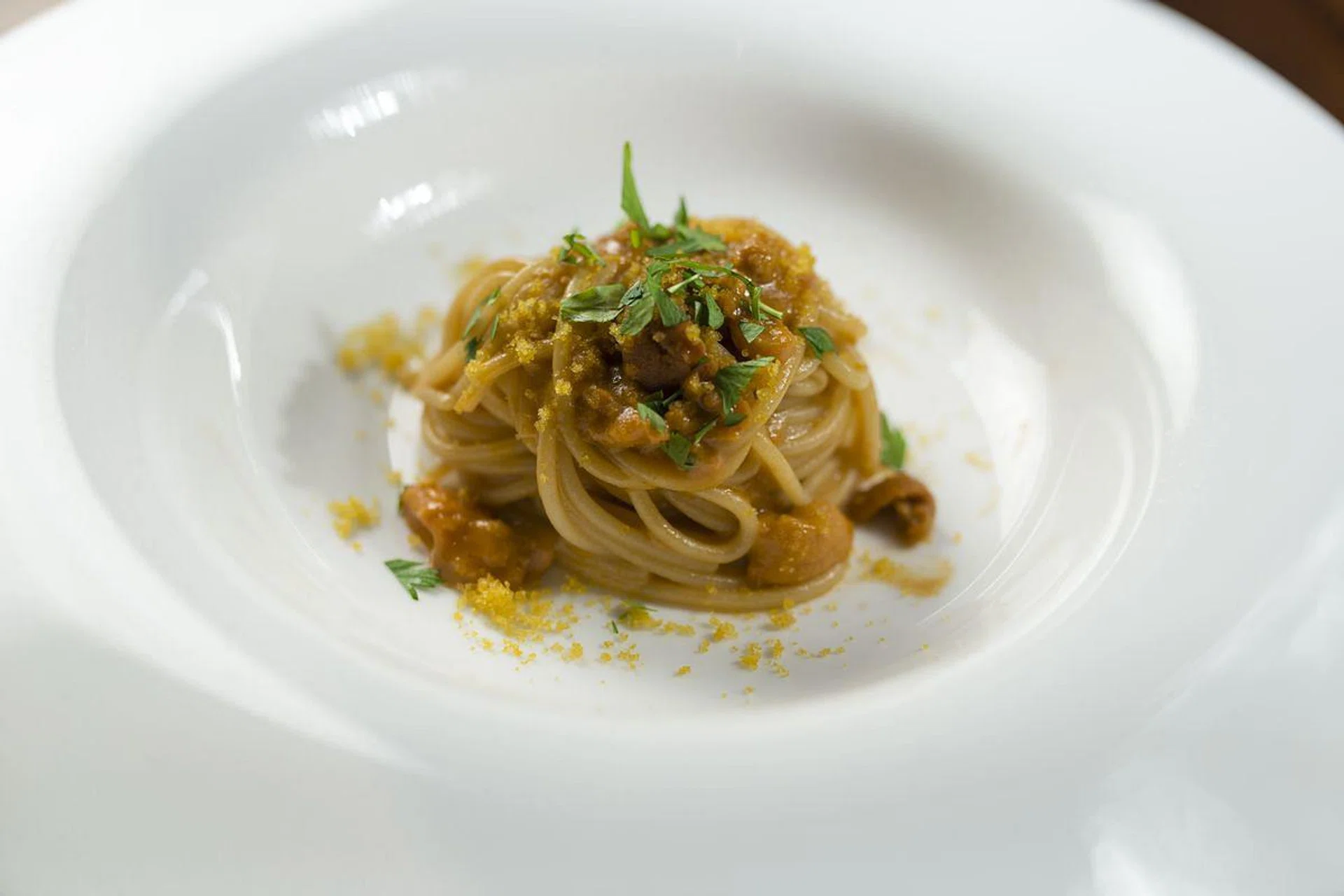 Terra - sea urchin spaghetti