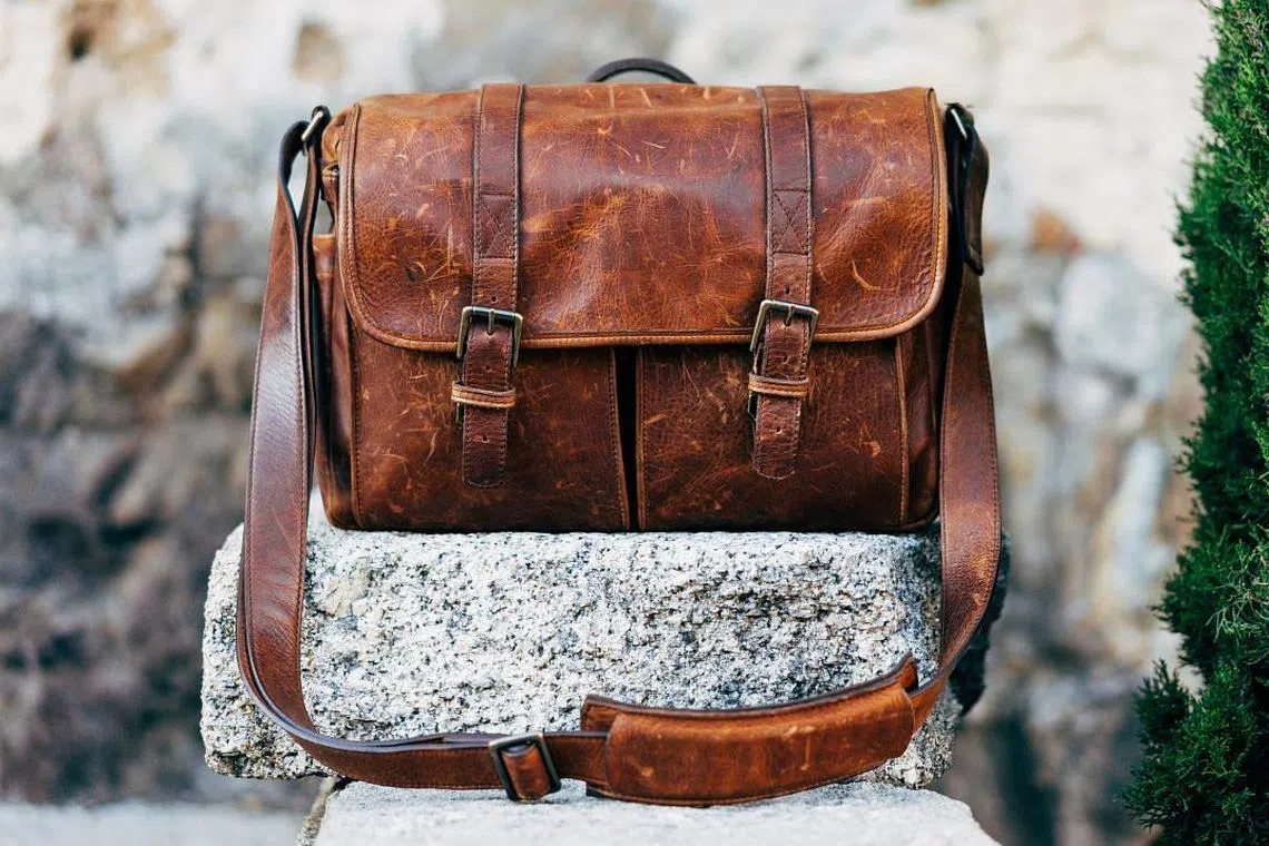 How to remove mould from leather bag hotsell