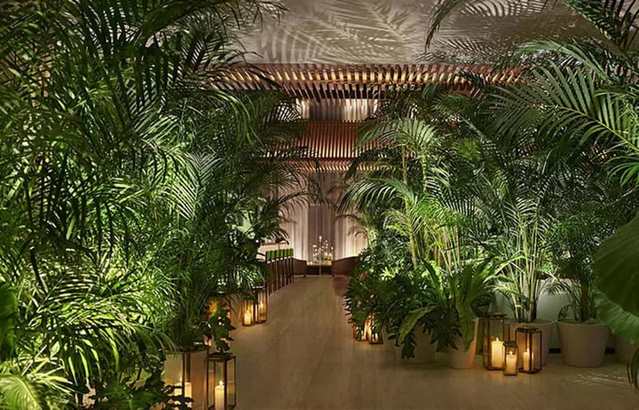 New Luxury Hotels