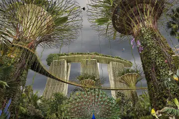Singapore SuperTree Of Life. Photo credit - Chris Morin-Eitner_result