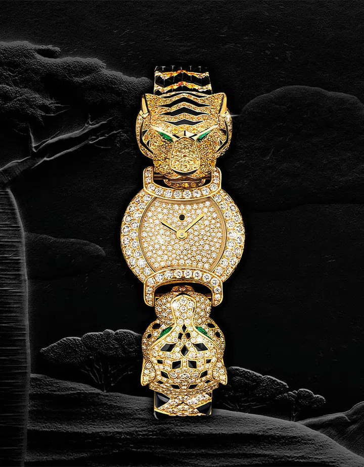 An Indomptables de Cartier watch.