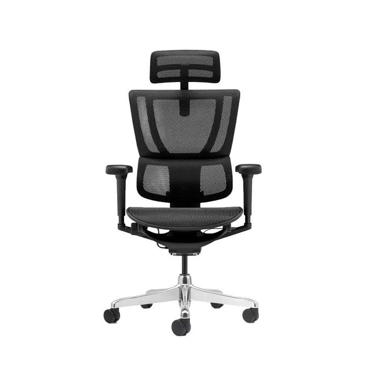 Ergohuman IOO Ultra Ergonomic Office Chair