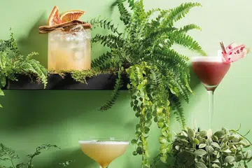 Skai's Rainforest cocktails consisting of The Shaman, Camu Camu and Butterfly Effect