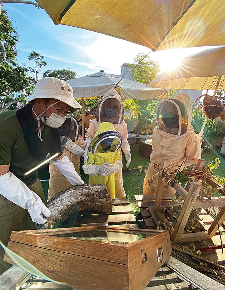 The Sundowner is a bustling ecosystem with a pond, crops and honeybees.