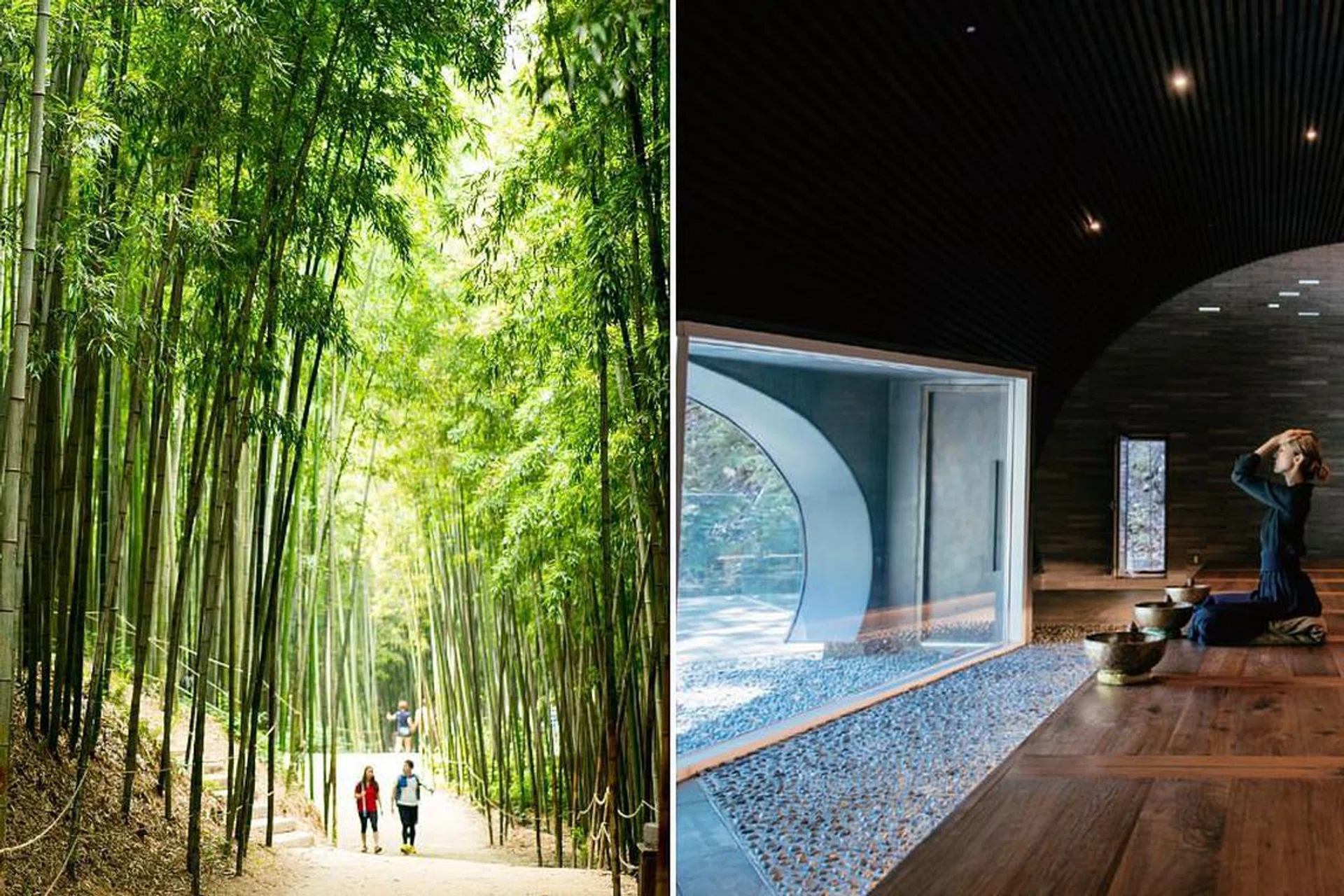 From ginseng spa rituals to healing forests: Rejuvenate at Korea's wellness havens