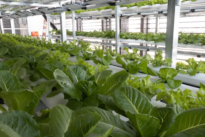 Sustainable buildings