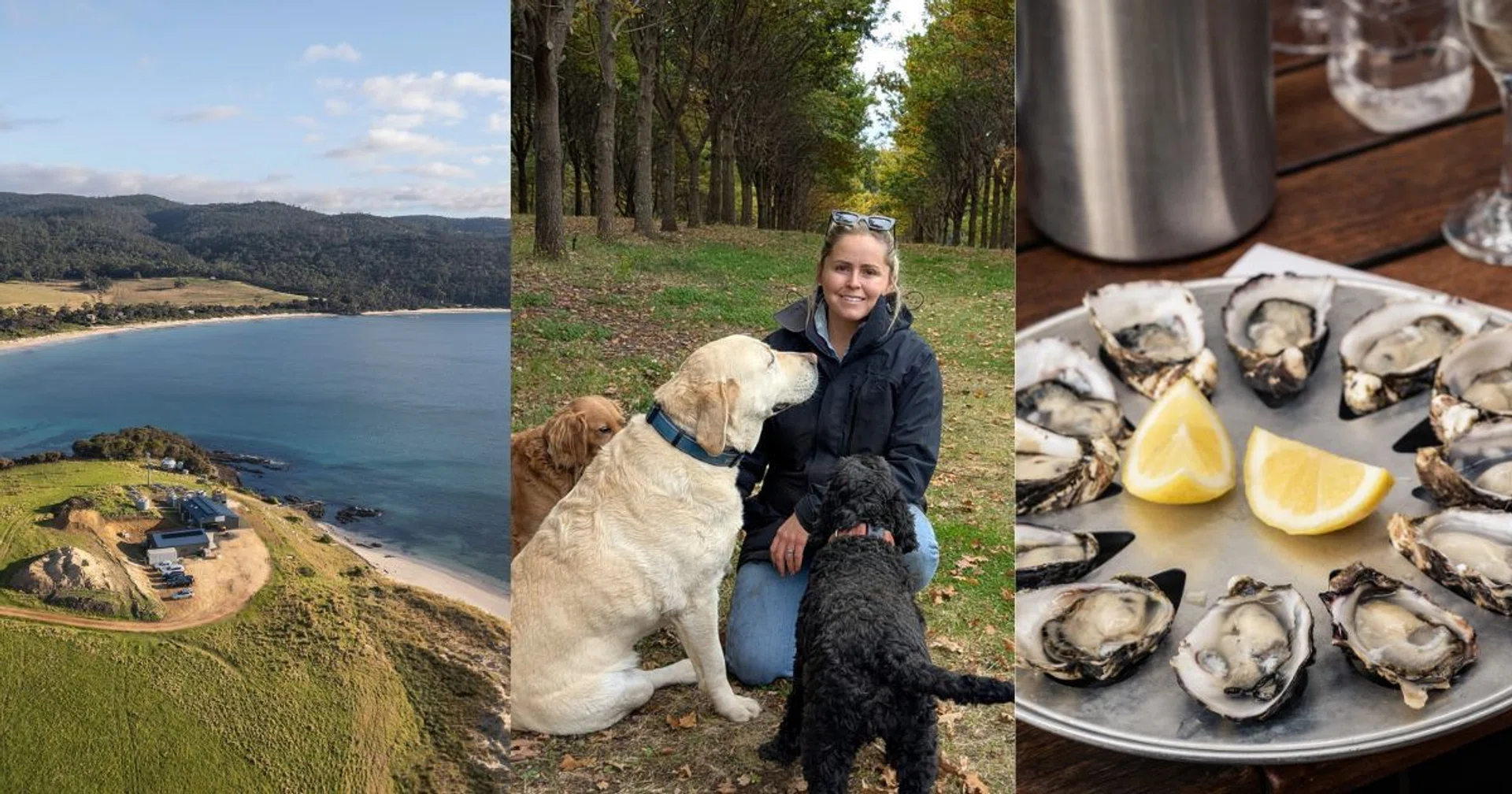 best tasmania farm experiences