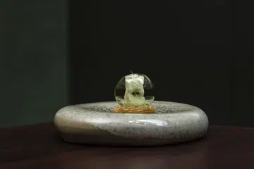Table65 apple