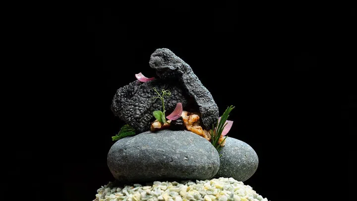 Crocodile & Crackers (Photo: Maison Shuko)
