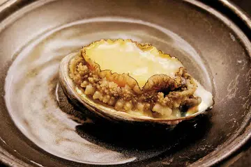 Abalone