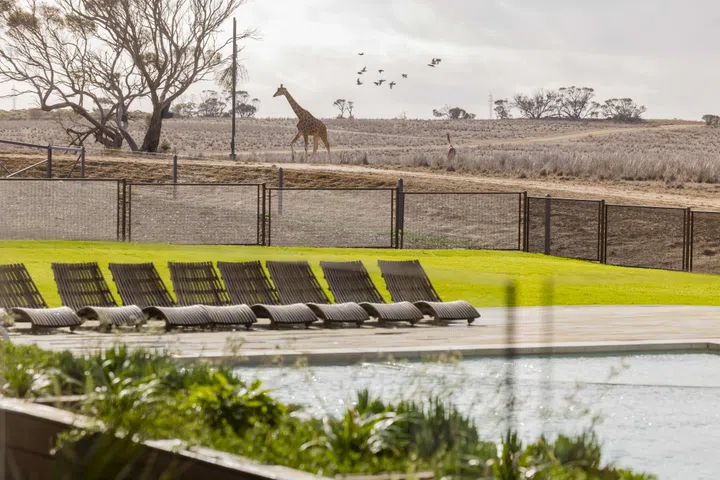 Monarto Safari Resort