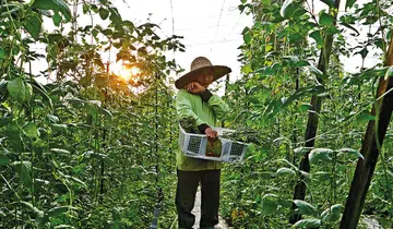 agri tech food singapore