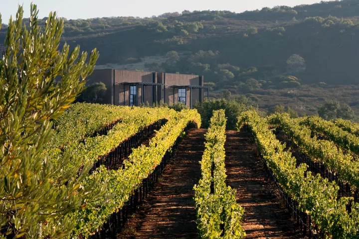 mondavi