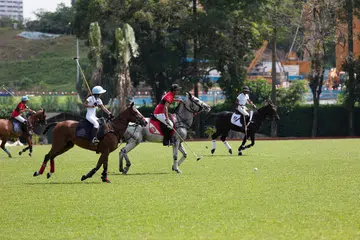 Atoms Polo Academy