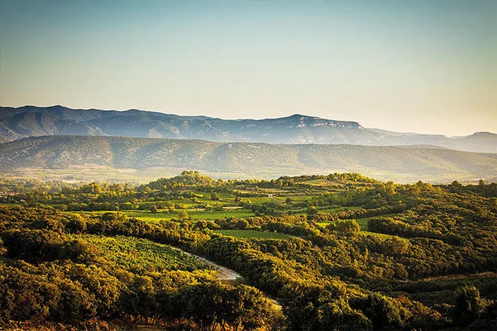 Mas de Daumas Gassac located in the heart of the Herault Valley in the Languedoc region.