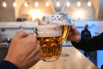 czech beer