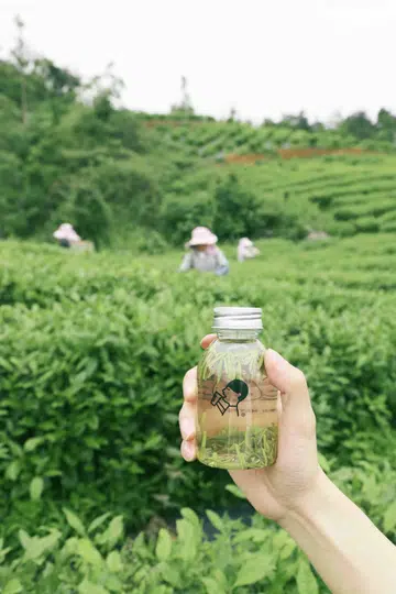 Heytea Tea Plantation