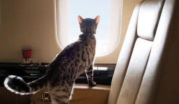 VistaJet