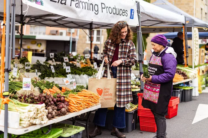 best tasmania farm experiences