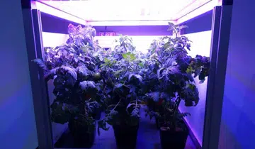 space gardening