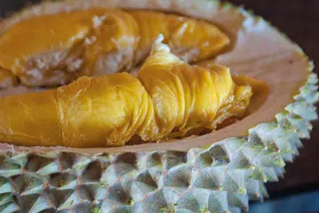 maoshanwang-header