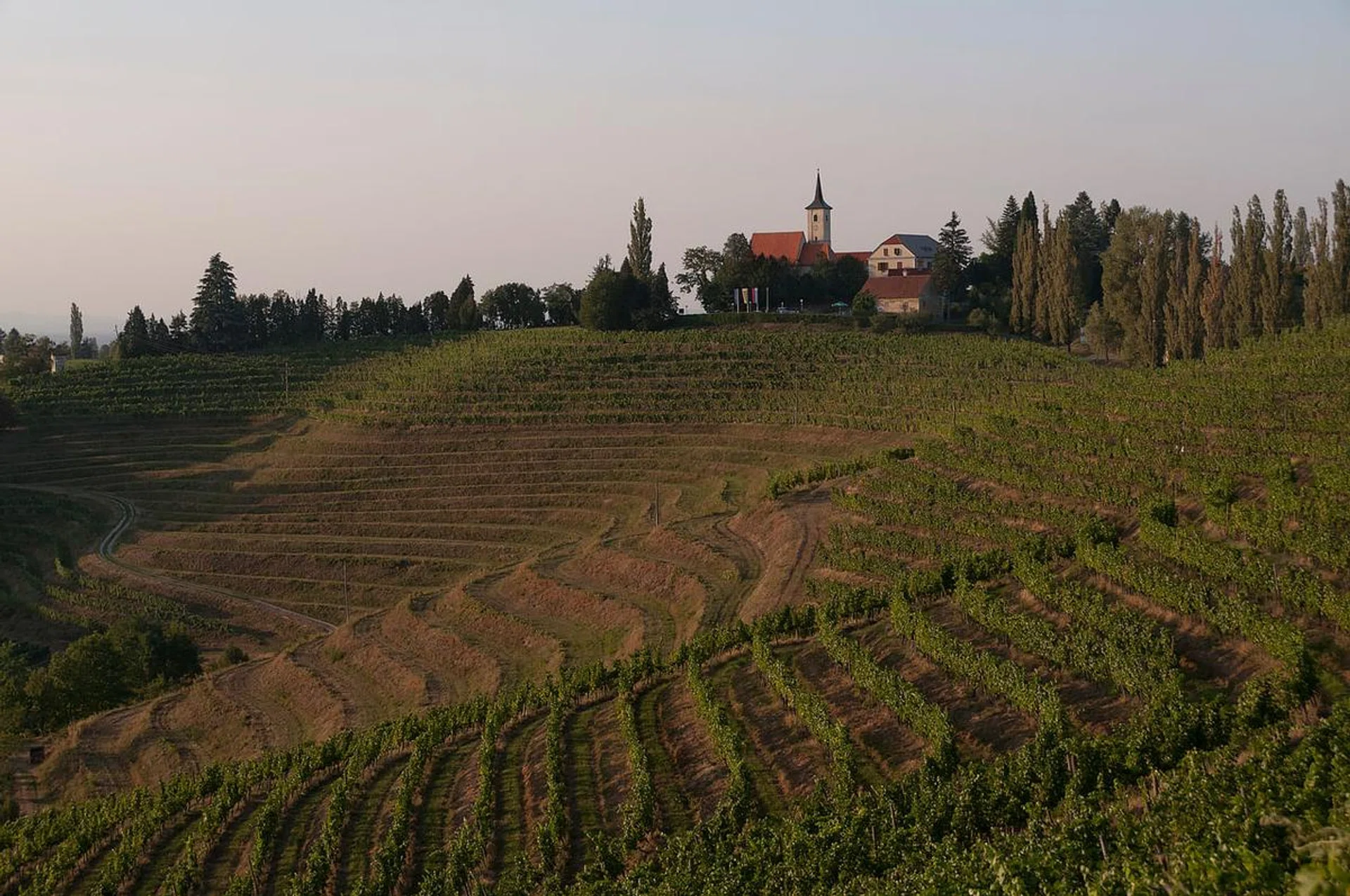 Jeruzalem is a wine region in NE Slovenia PHOTO: Freeimages.com/ivanmarn