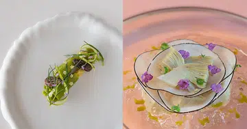 vegetarian restaurants