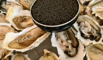 Kakiin Oyster Bar