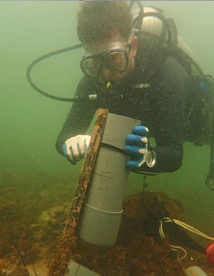 Kyle Morgan and a team of Earth Observatory of Singapore scientists have been tracking the growth and environmental conditions of corals in Singapore