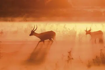 m-van_-oosten_bot_160430_12833-1200x675