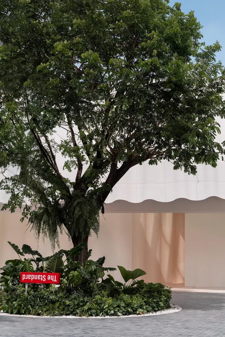 the standard pattaya 