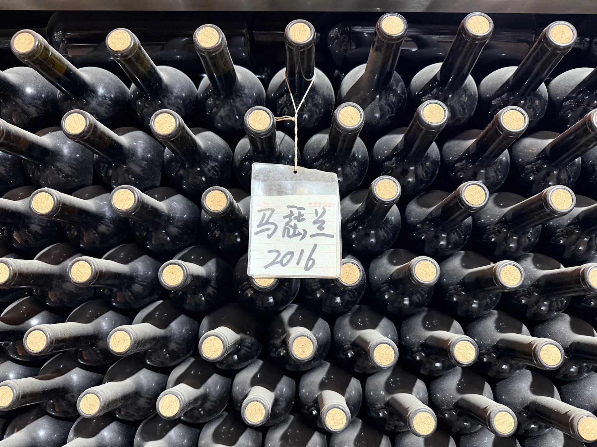 ningxia wines
