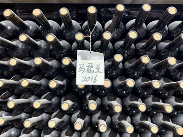 ningxia wines
