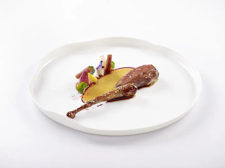 Mieral Pigeon from buona terra