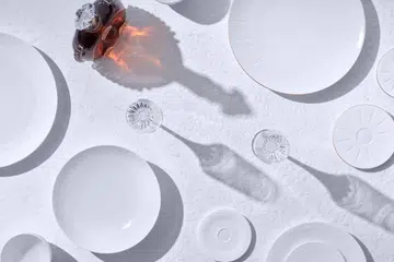 Louis XIII dinnerware