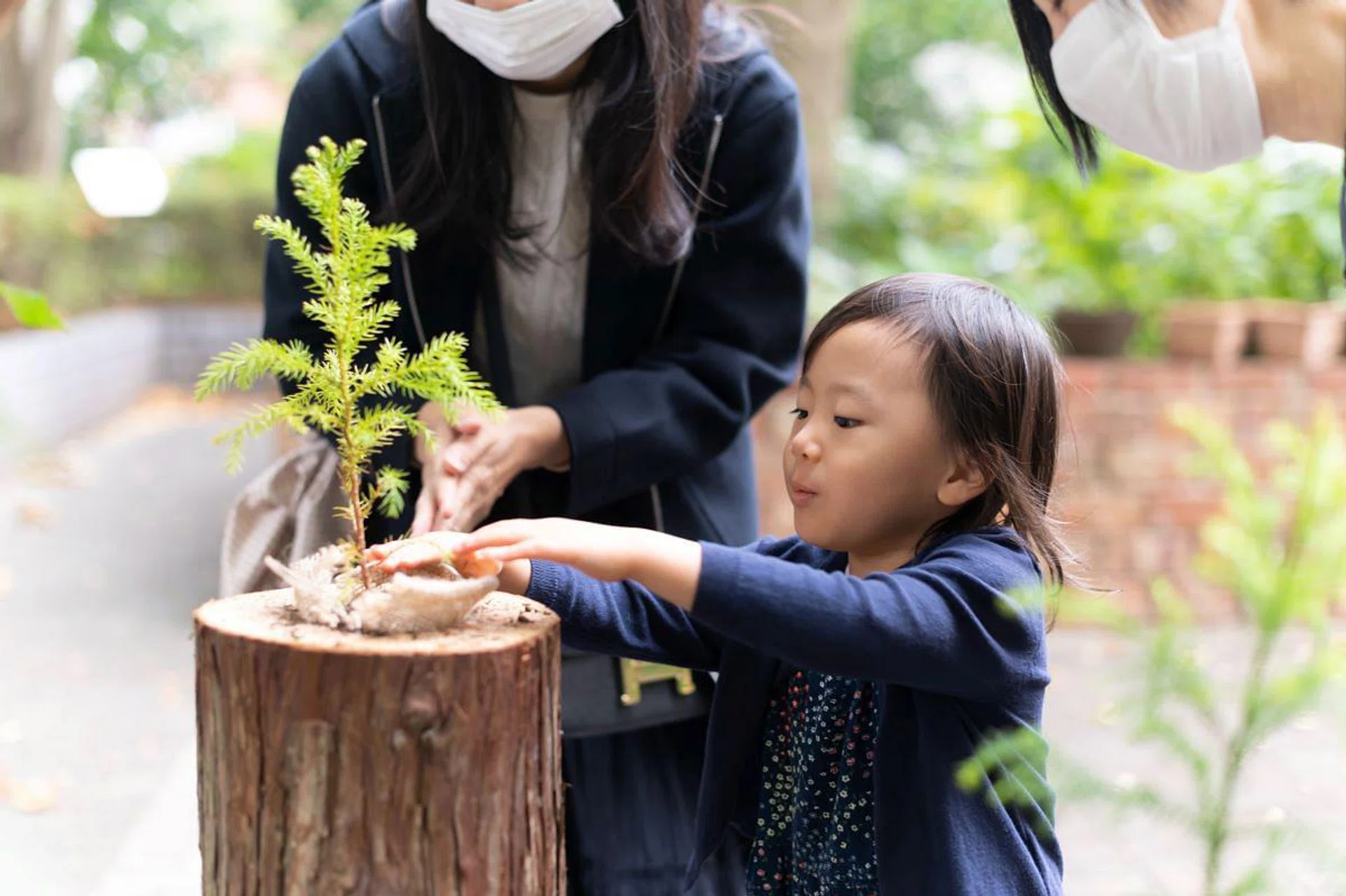 More Trees hosted a seedling workshop for a Christmas installation at Ark Hills in Tokyo in 2022 — one of many events to promote knowledge of and support the organisation’s reforestation efforts. (Photo: More Trees)
