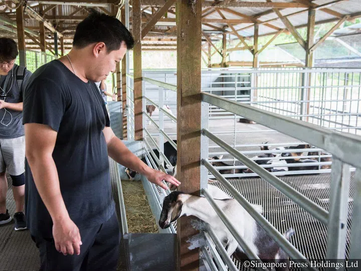 Chef Han Li Guang is on a quest to promote local cuisine.