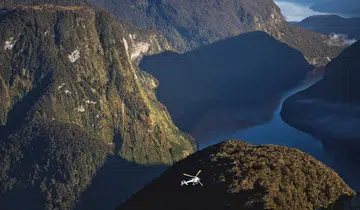 New Zealand Dusky