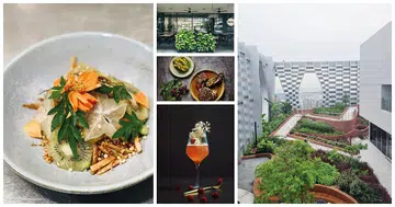 Garden to Table restaurant and bars singapore