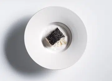 Preludio Patagonion toothfish white opal